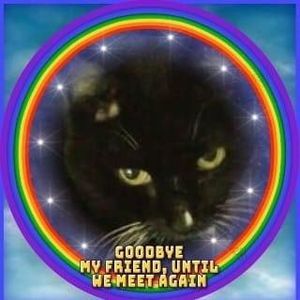 Meet your Posher, Kendra